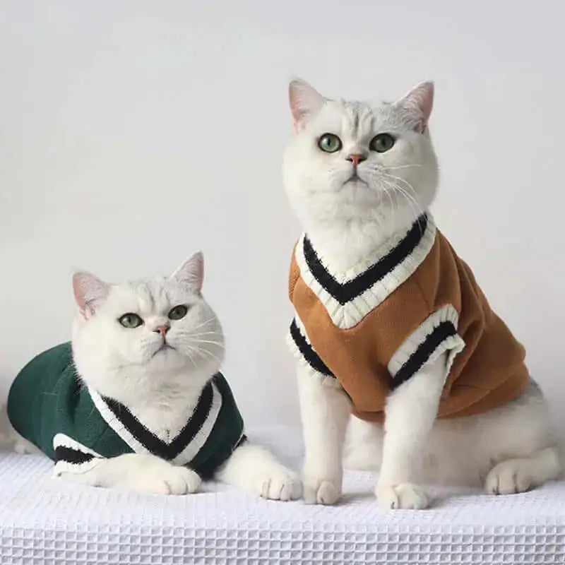 Suéter de invierno elegante para tú mascota