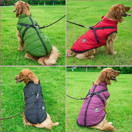 Chaqueta de invierno para perros