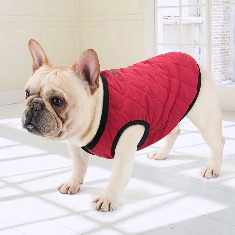 Chaqueta de invierno para perros