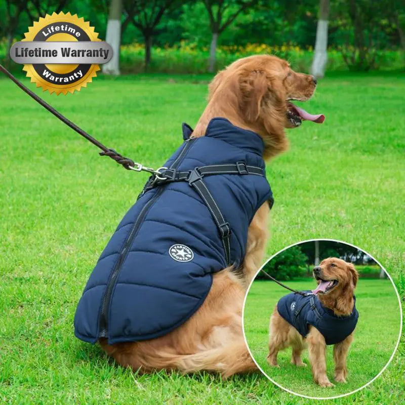 Chaqueta de invierno para perros